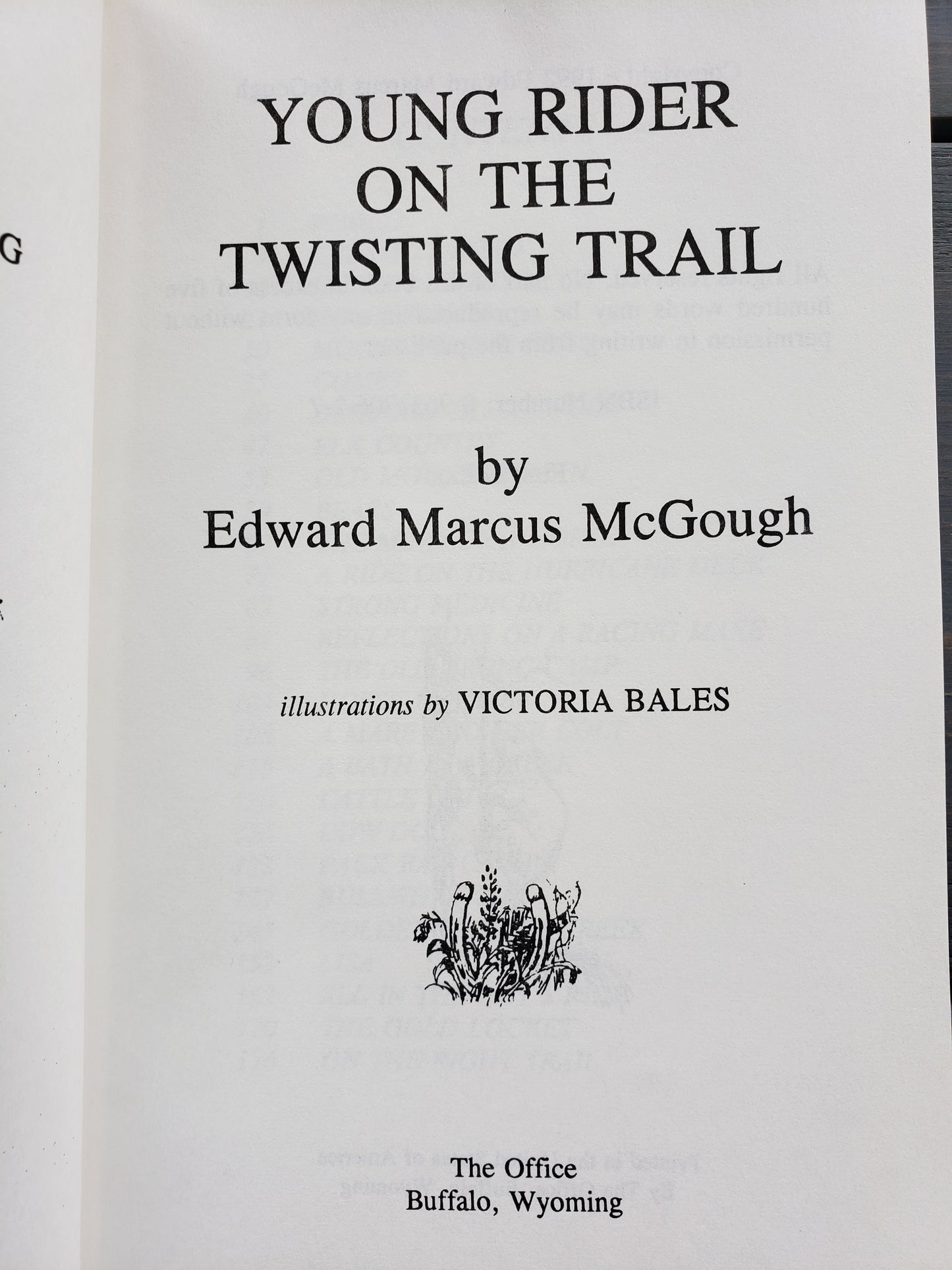 Young Rider on the Twisting Trail by Edward McGough