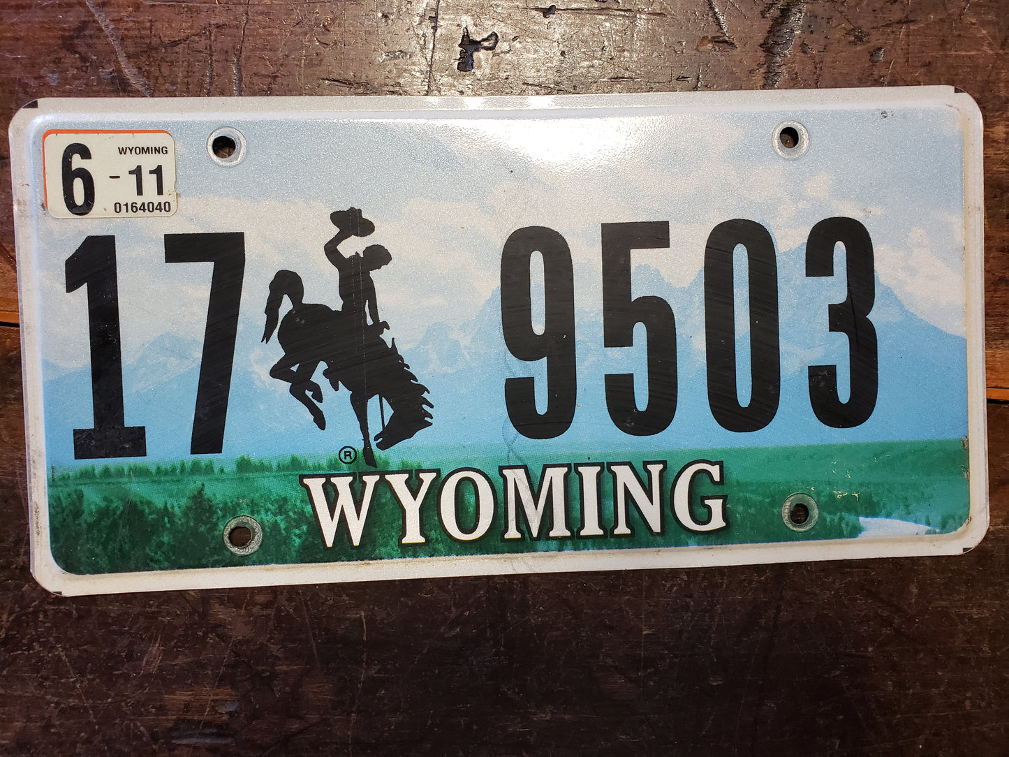 2011 Wyoming  License Plate 17 9503