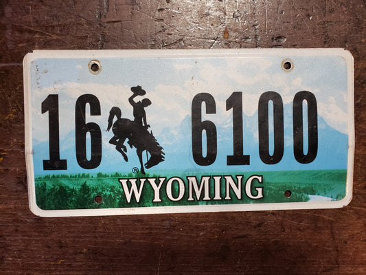 Wyoming license plate 16 6100