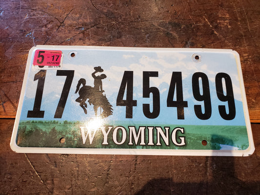 2017 Wyoming license plate 17 45499