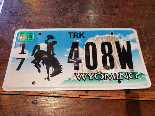 2009 Wyoming license plate 17 408W