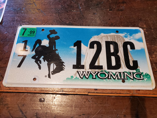 2009 Wyoming license plate 17 12BC