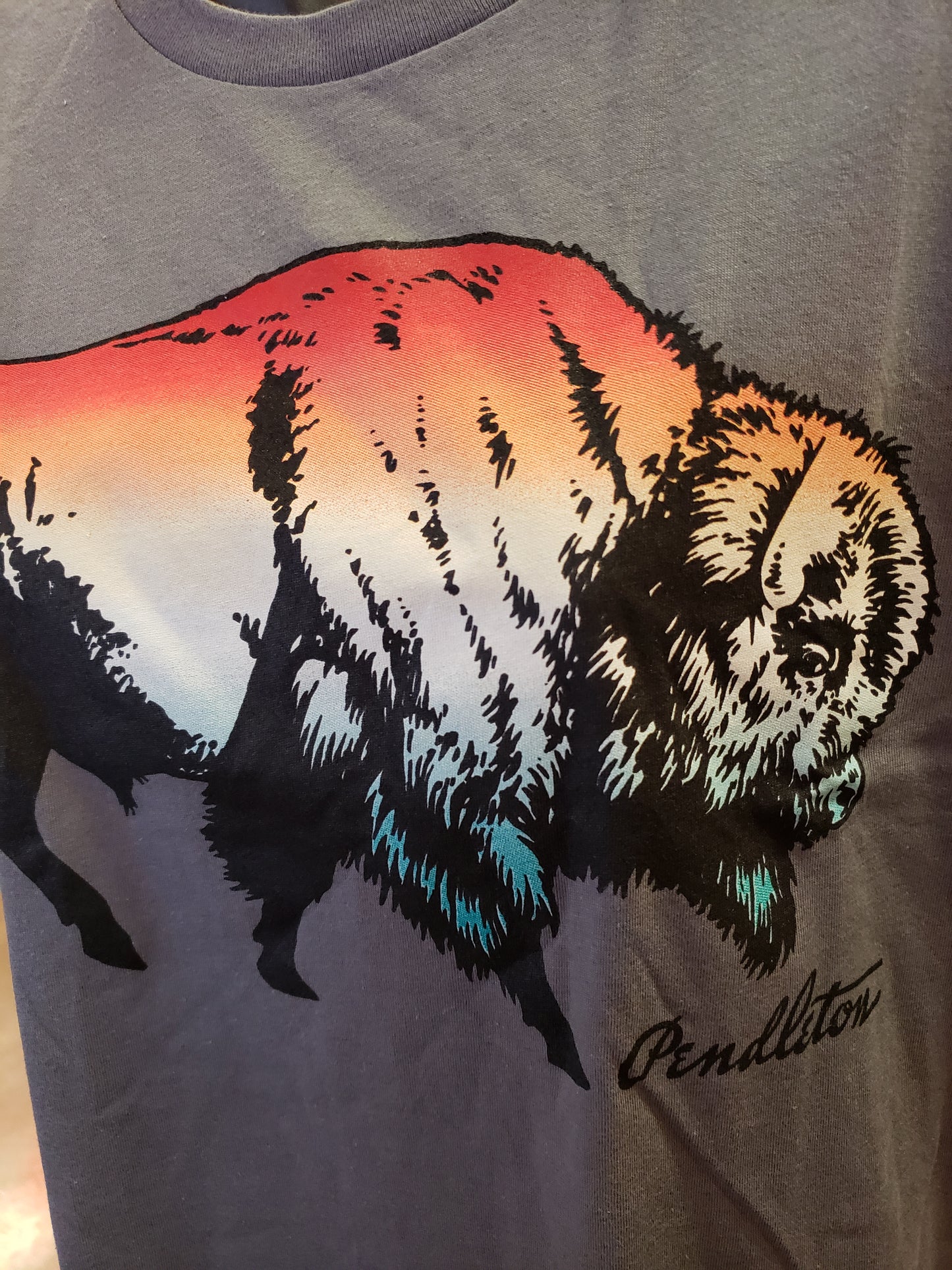 Pendleton Ombre Bison Graphic Tee