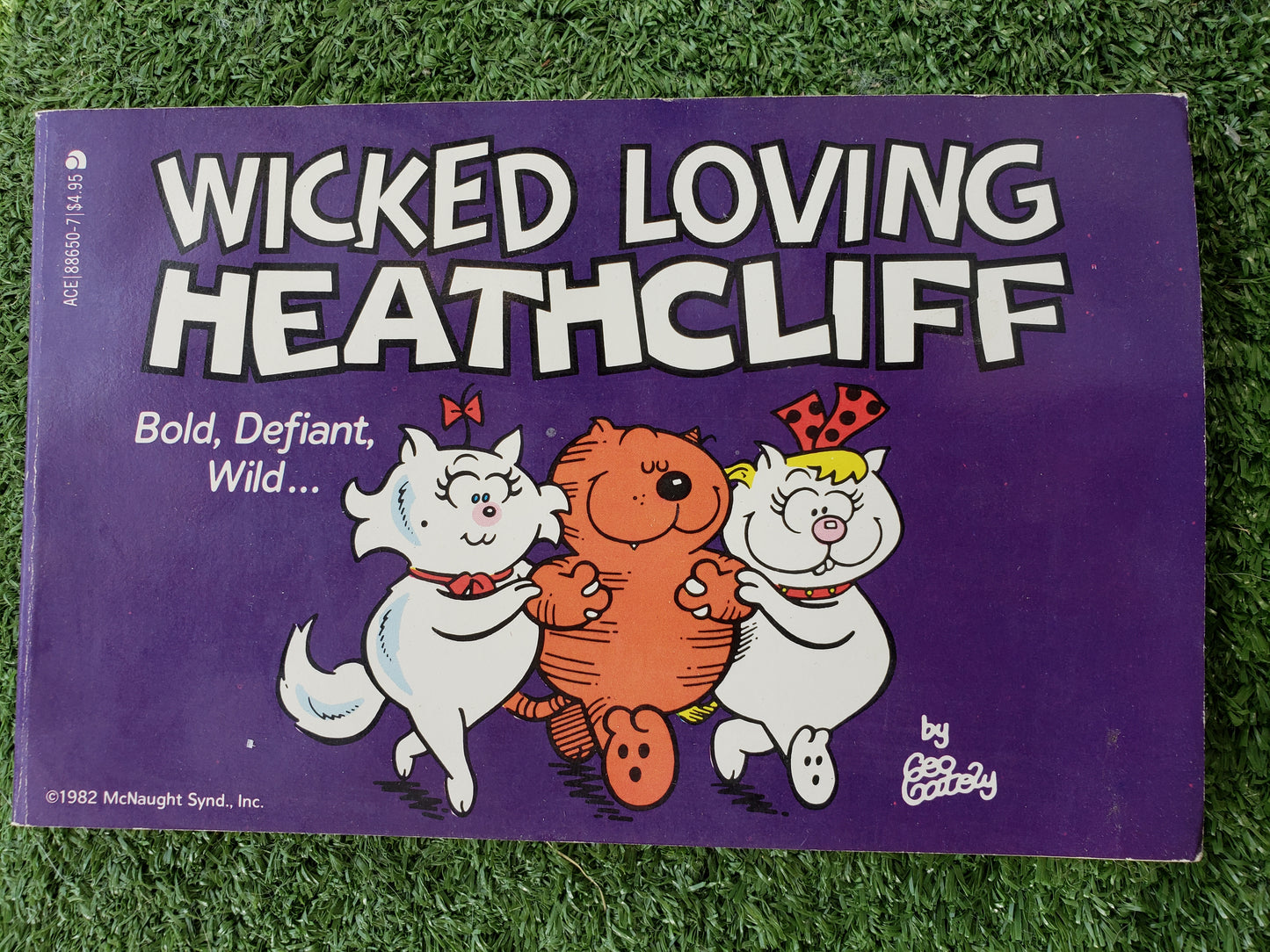 Heathcliff, Wicked Loving Heathcliff by Geo Gately