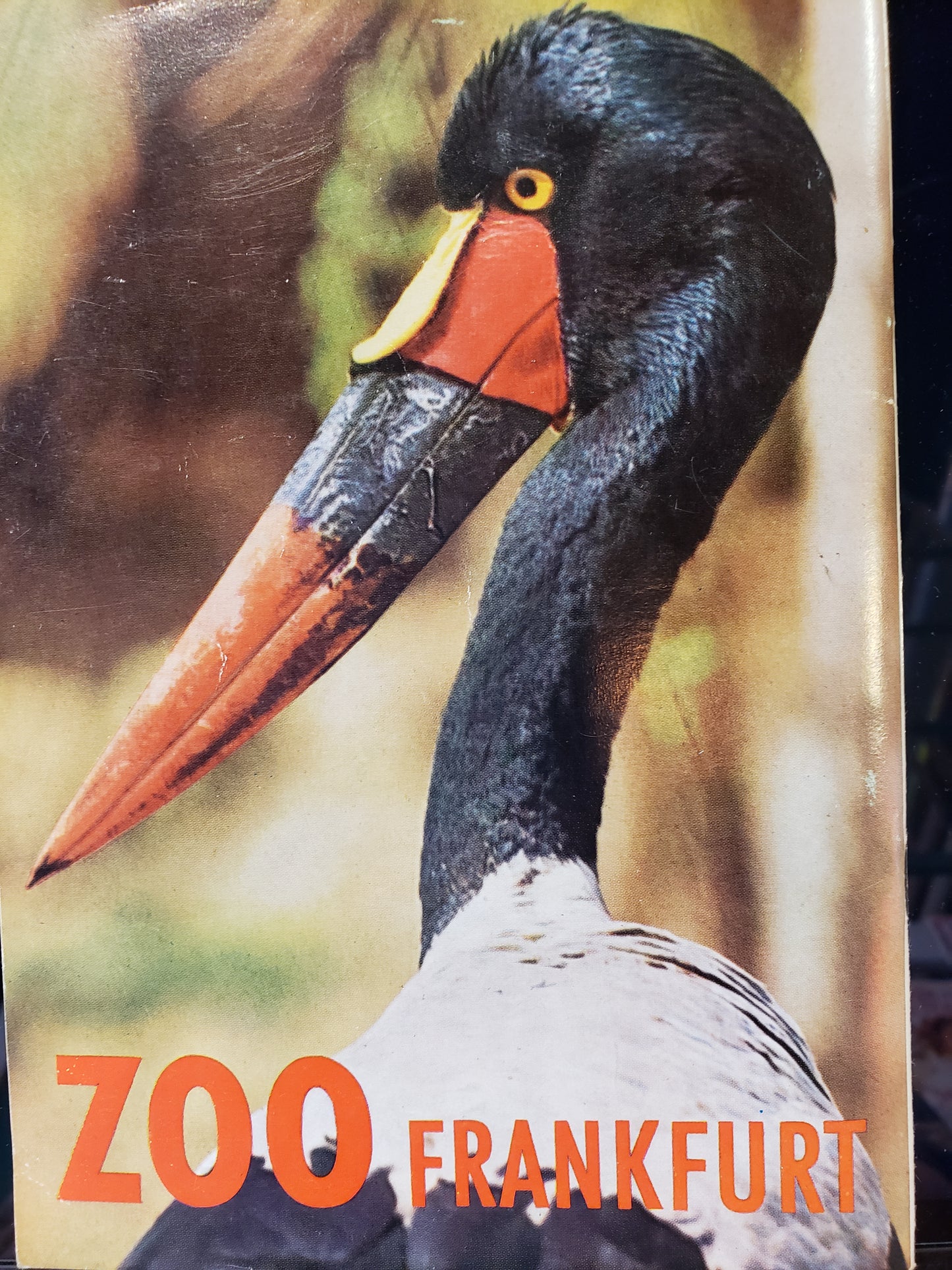 Zoo Frankfurt souvenir book (1961)