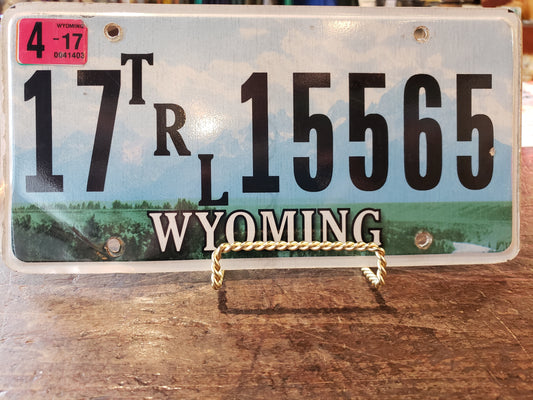 2017 Wyoming TRAILER license plate 17 15565