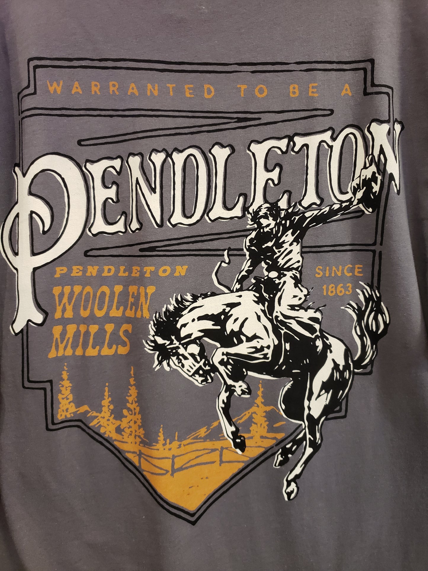 Pendleton Rodeo Plaque Graphic Tee in Asphalt/ Multi