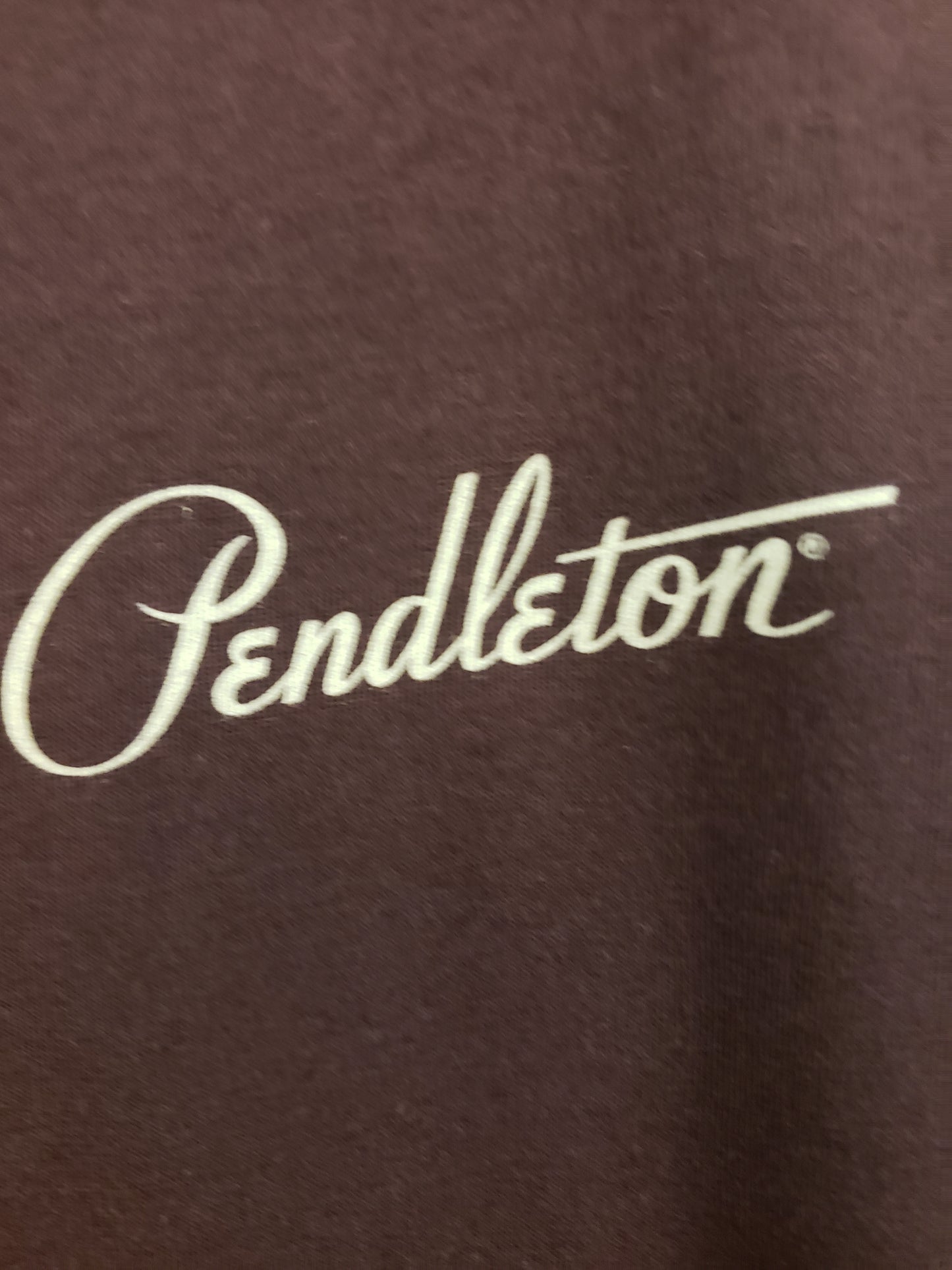 Pendleton Solstice Canyon Graphic Tee in Oxblood/ Multi