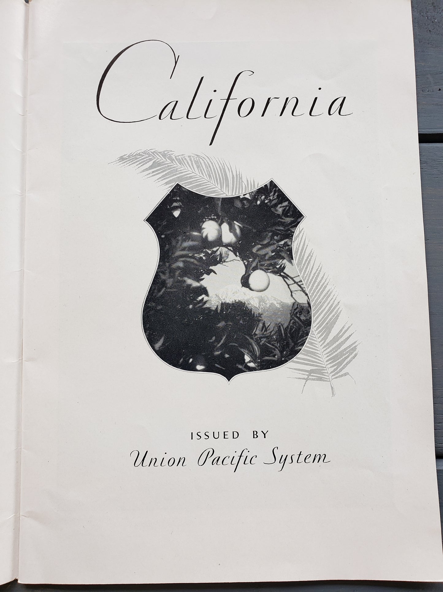 California (1931)