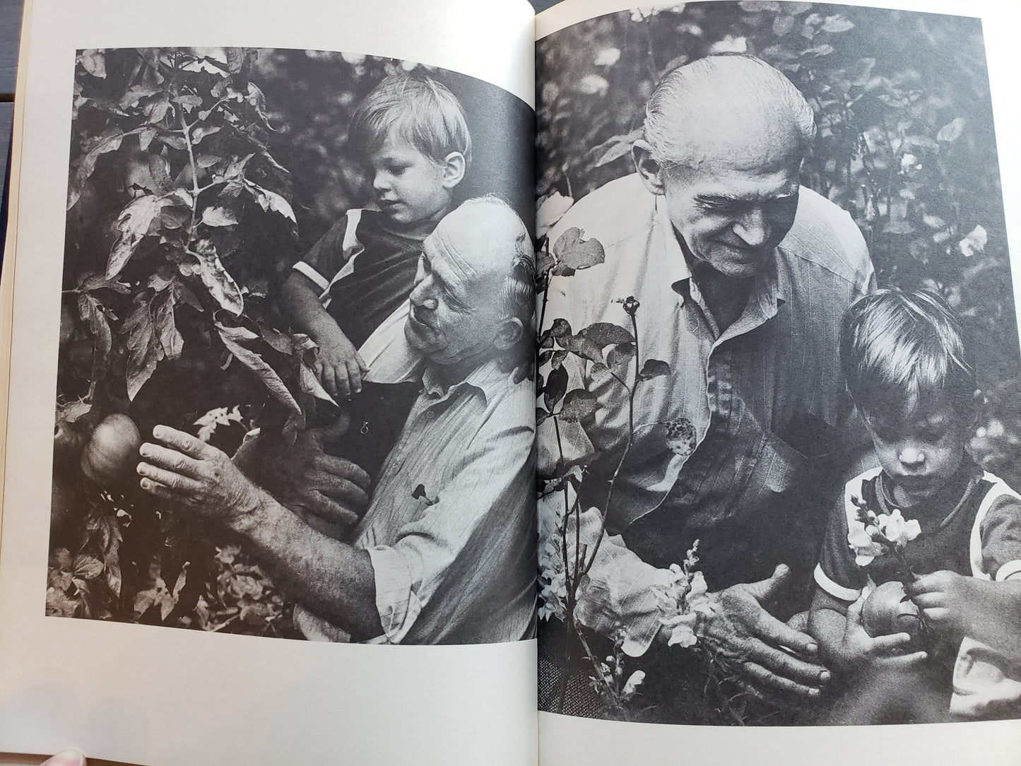 Grandparents, by Charlie W. Shedd (1976)