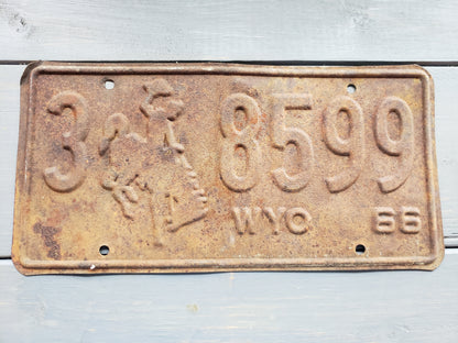 1966 Wyoming license plate 3 8599