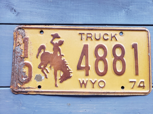 1974 Wyoming TRUCK license plate 10 4881