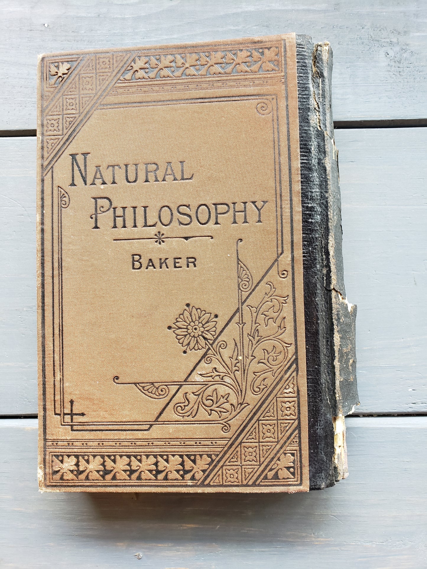 Natural Philosophy (1881)