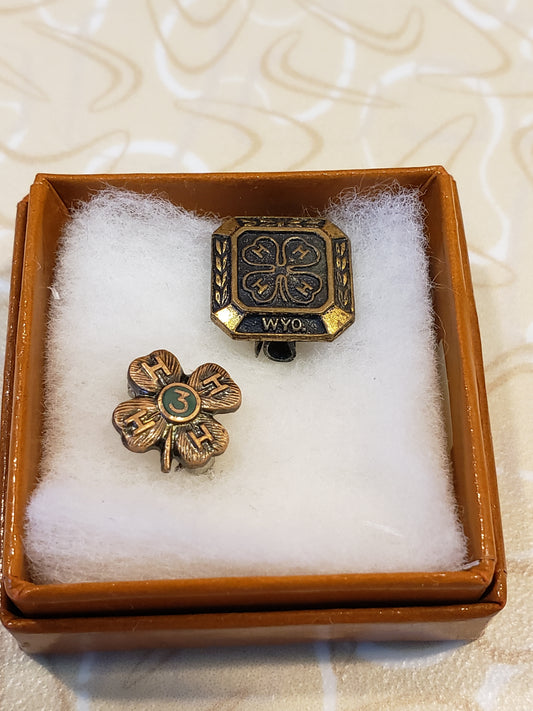 Set of two Bronze WYOMING 4H pins