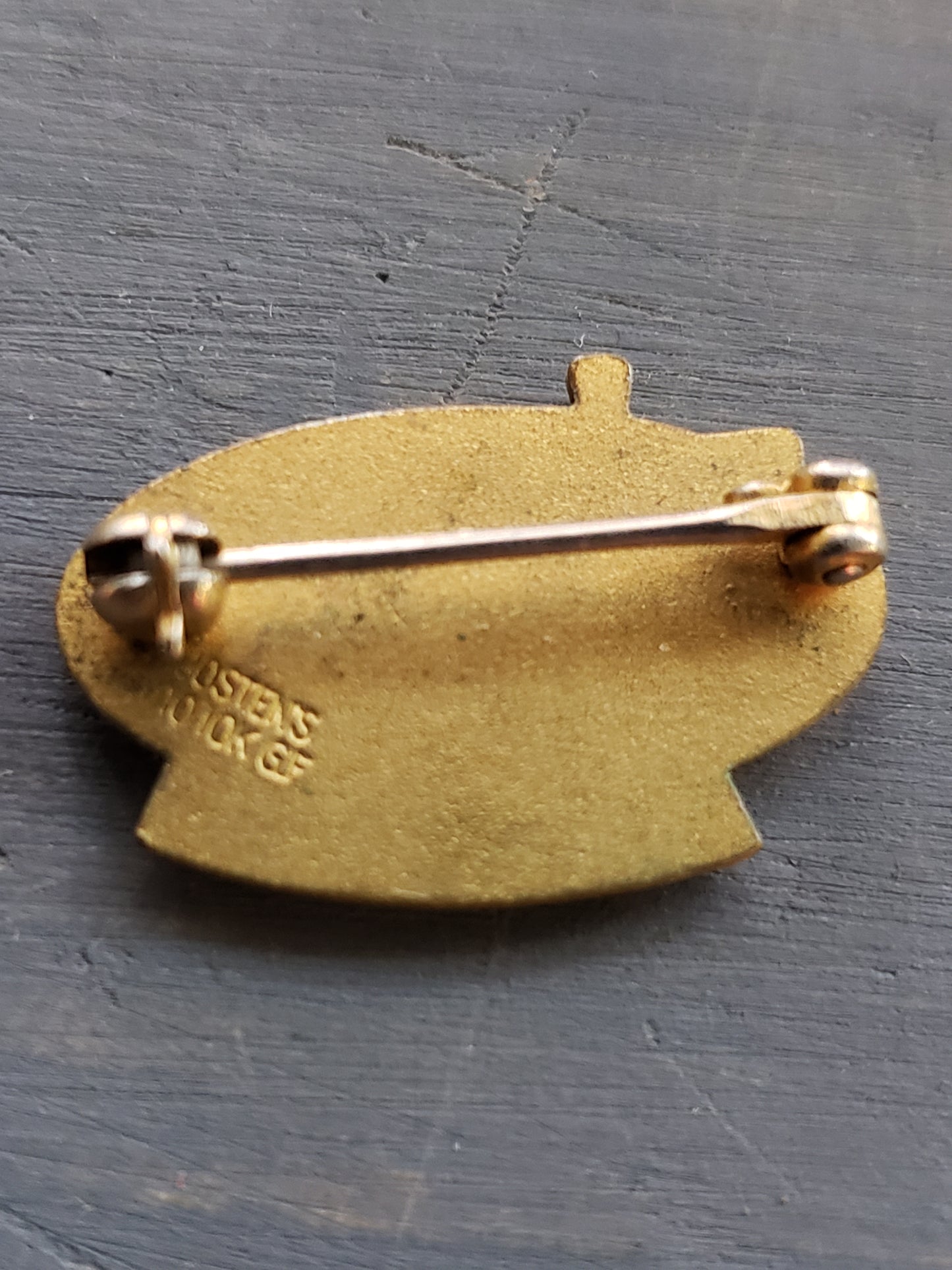 RMH Centurian volunteer lapel pin