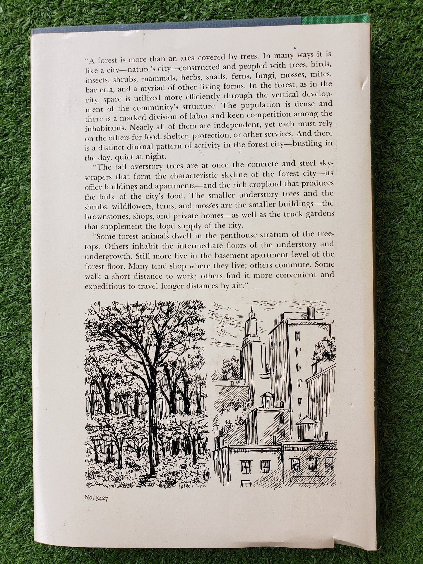 The Living Forest by Jack McCormick (1959)