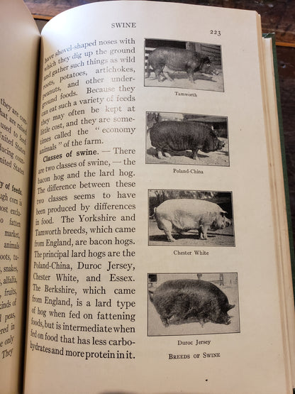 Sixty Lessons in Agriculture, Buffum and Deaver (1913)