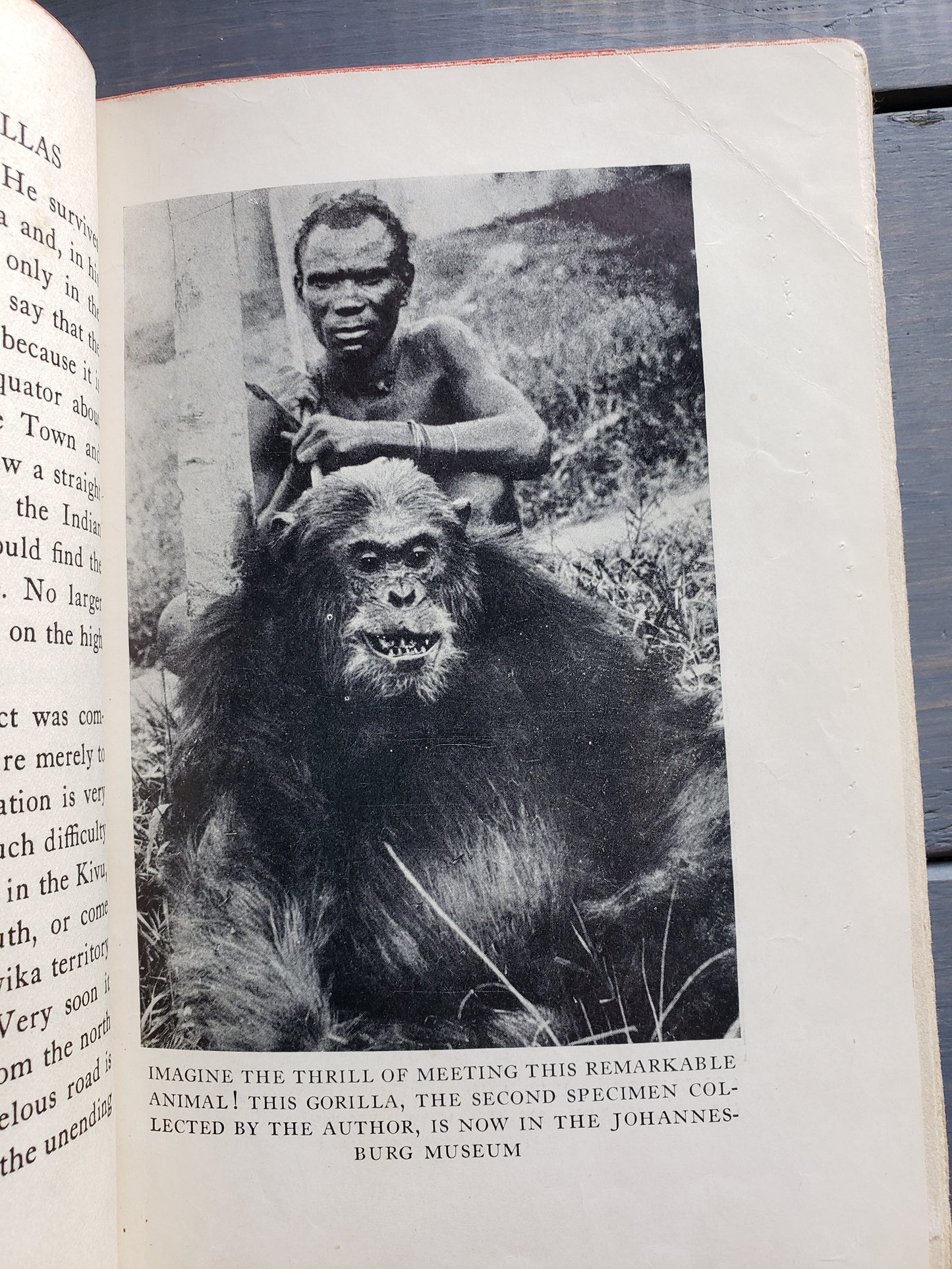 The King of Gorillas (1932)