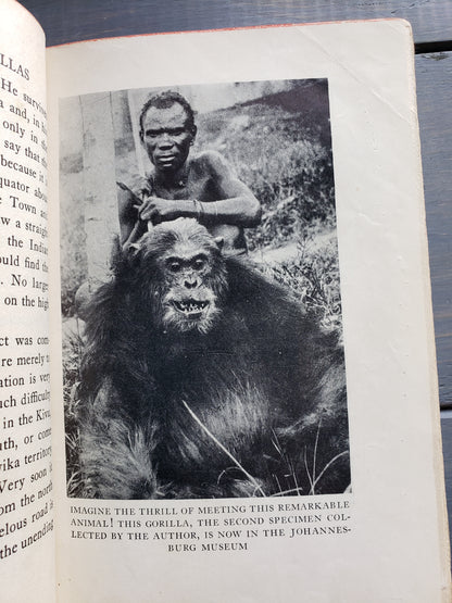 The King of Gorillas (1932)