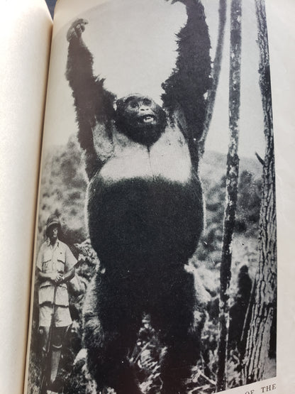 The King of Gorillas (1932)