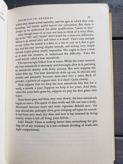 This Fascinating Animal World by Alan DeVoe (1959)