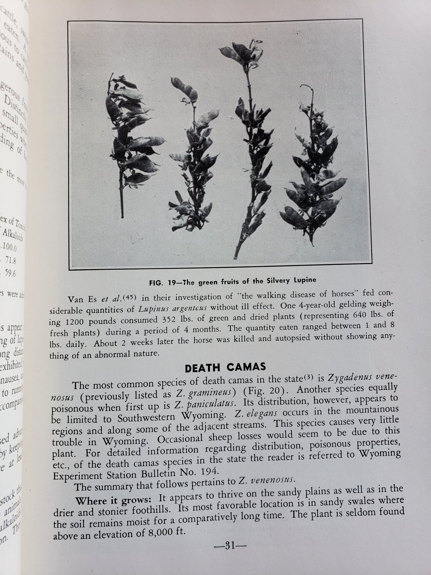 Poisonous Plants and Livestock Poisoning (1953)