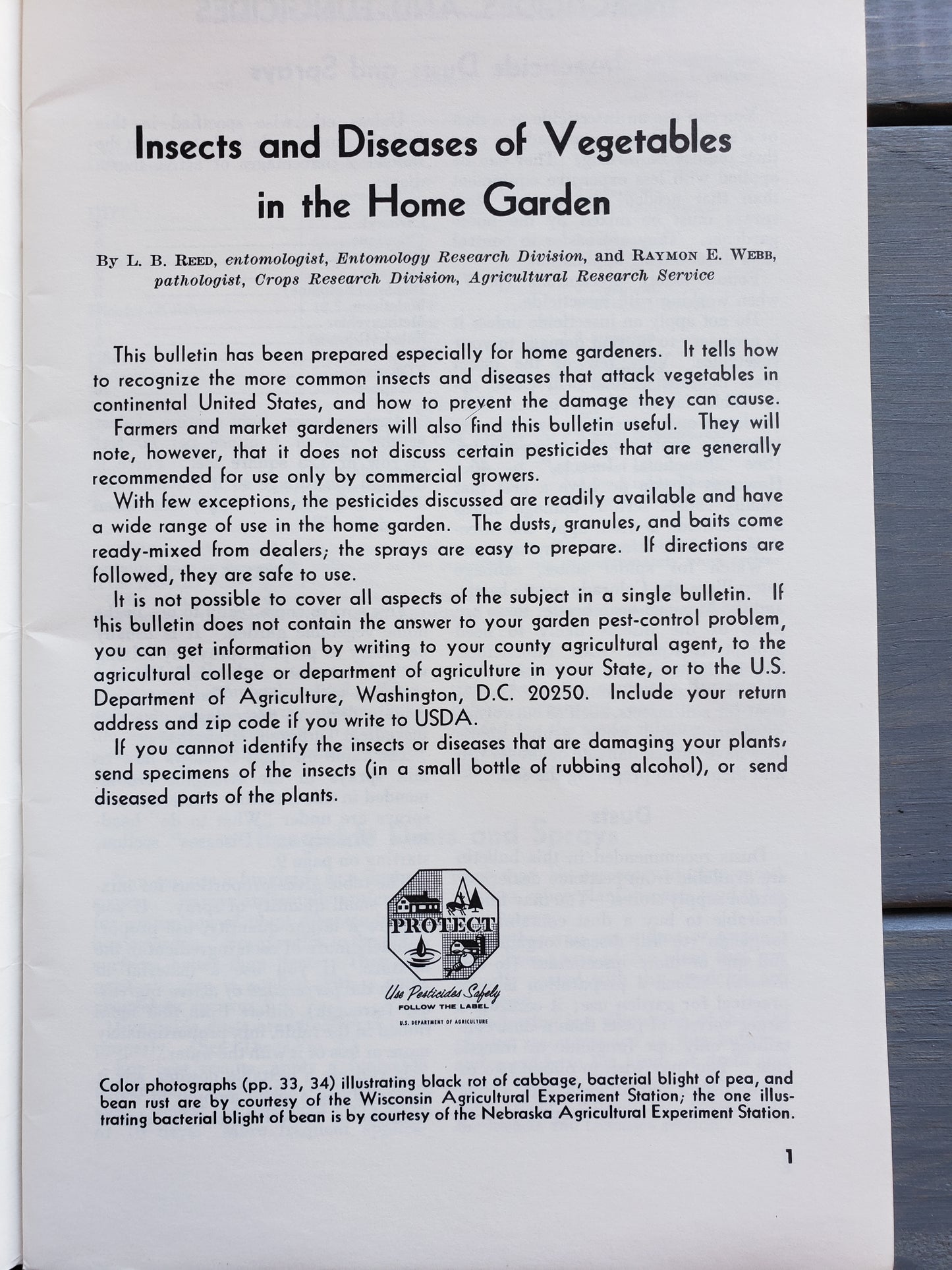 Insects and Diseases of Vegetables in the Home Garden (1967)