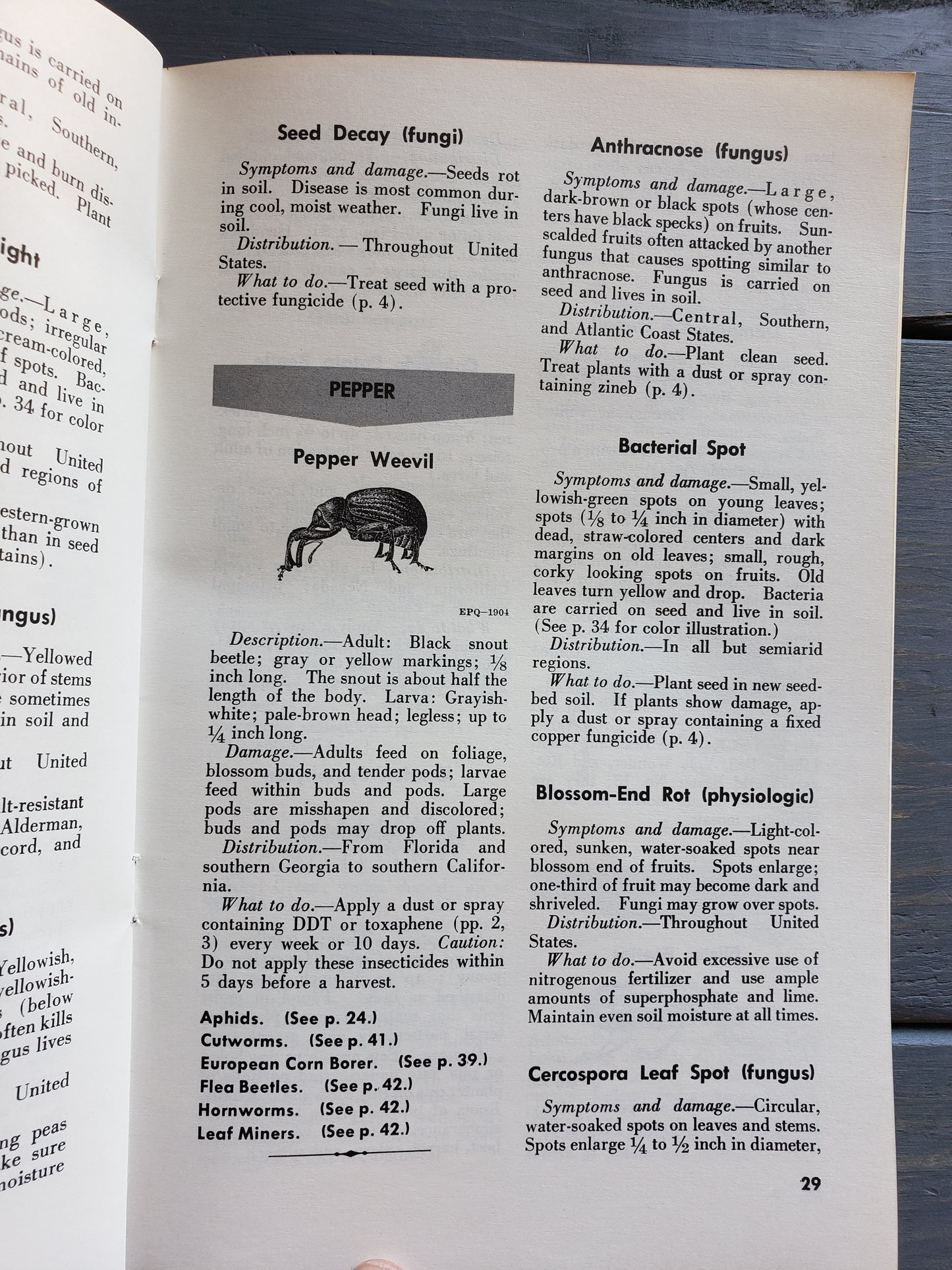 Insects and Diseases of Vegetables in the Home Garden (1967)
