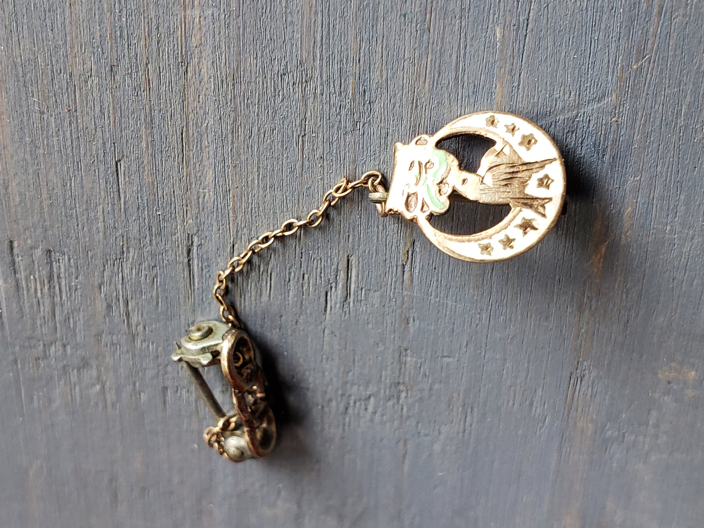 Daughters of Rebekah dual enamel pin with chain