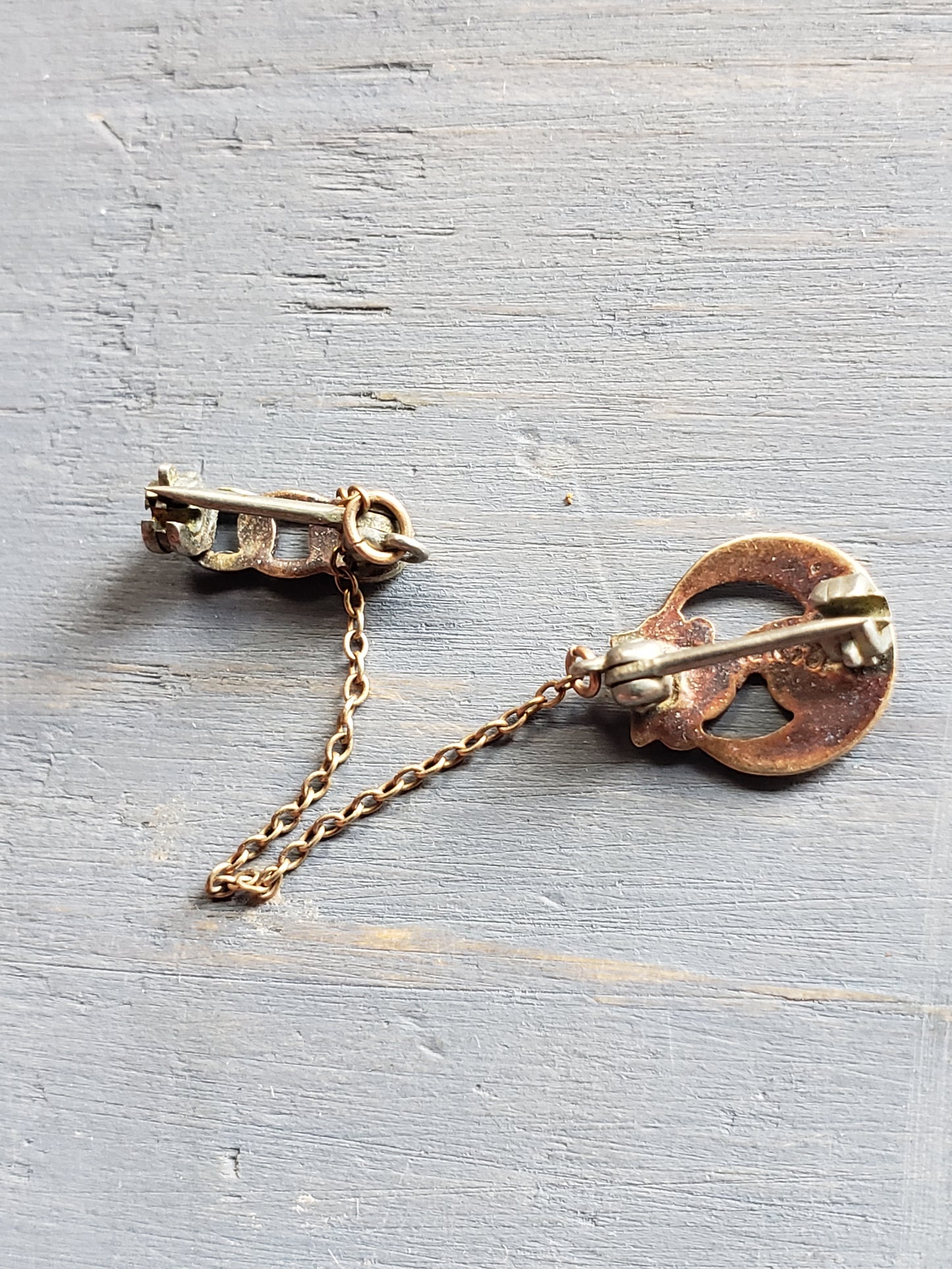 Daughters of Rebekah dual enamel pin with chain
