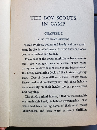 The Boy Scouts In Camp (1921)