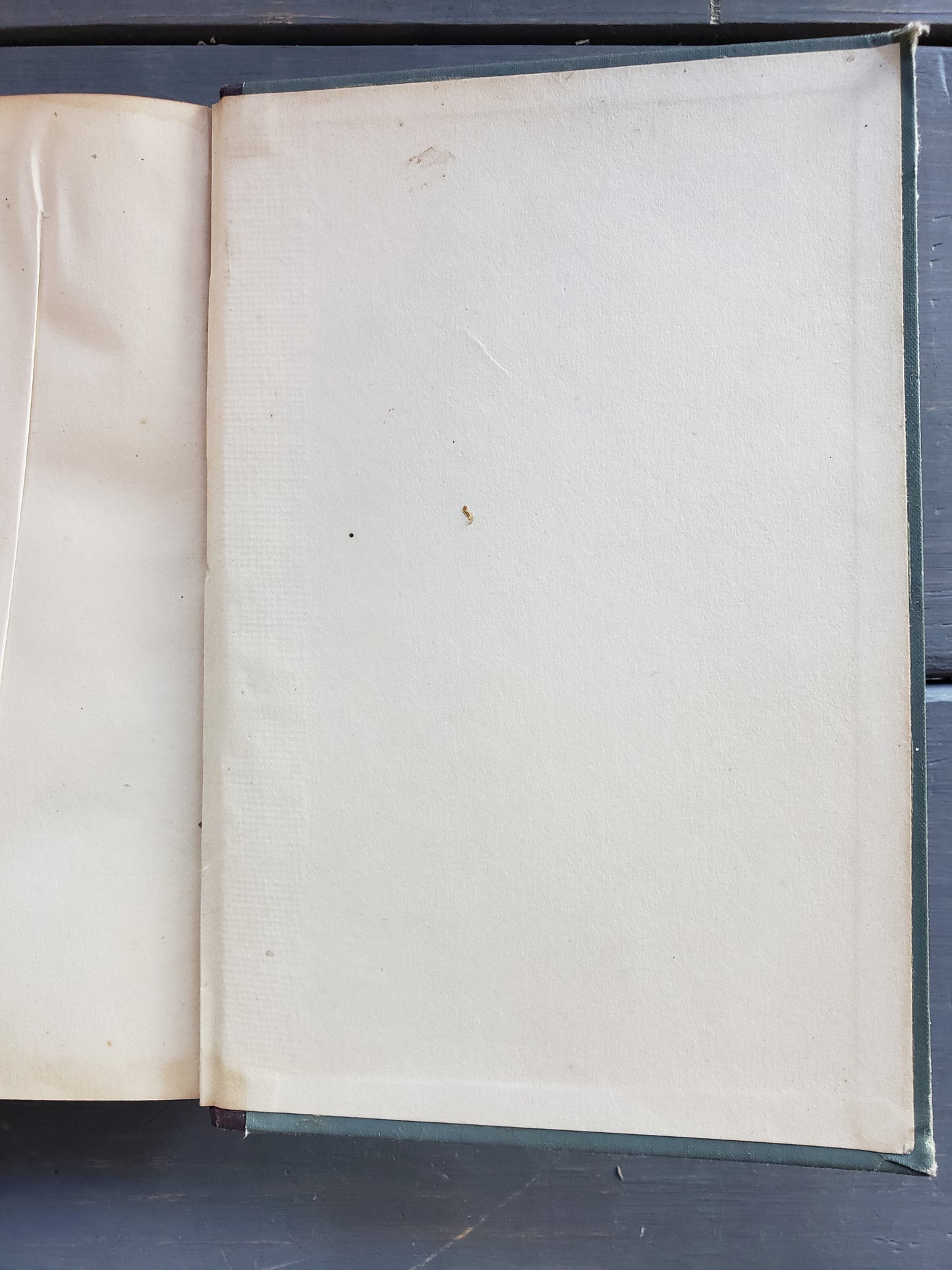 Steele's Sciences PHYSIOLOGY (1889)