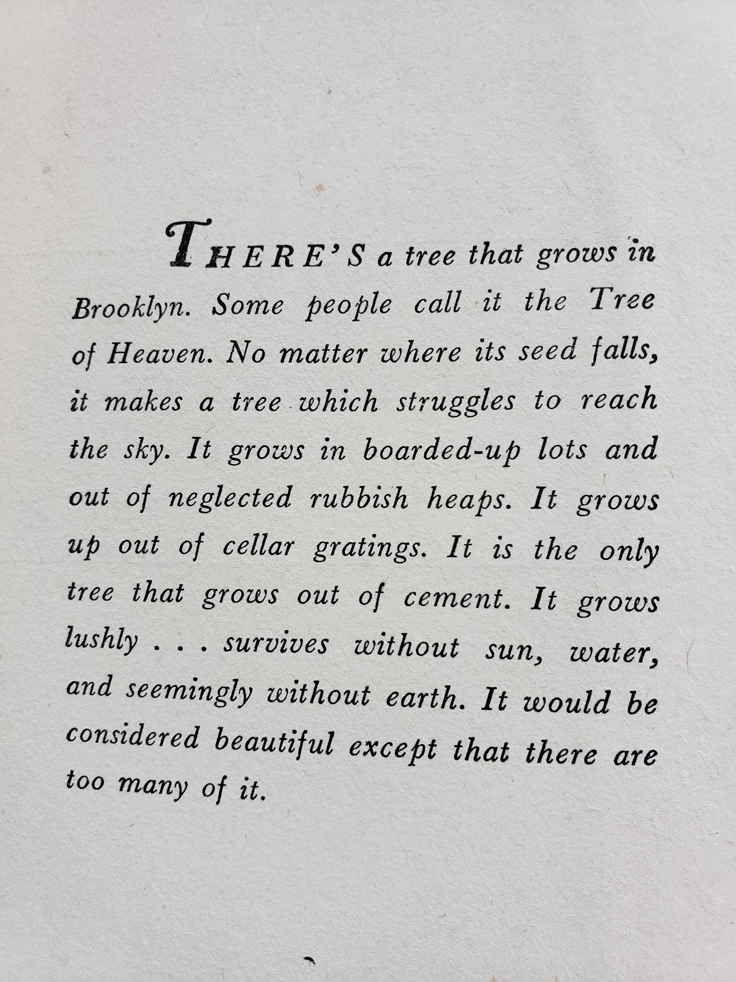 A Tree Grows in Brooklyn (1943) by Betty Smith special edition.