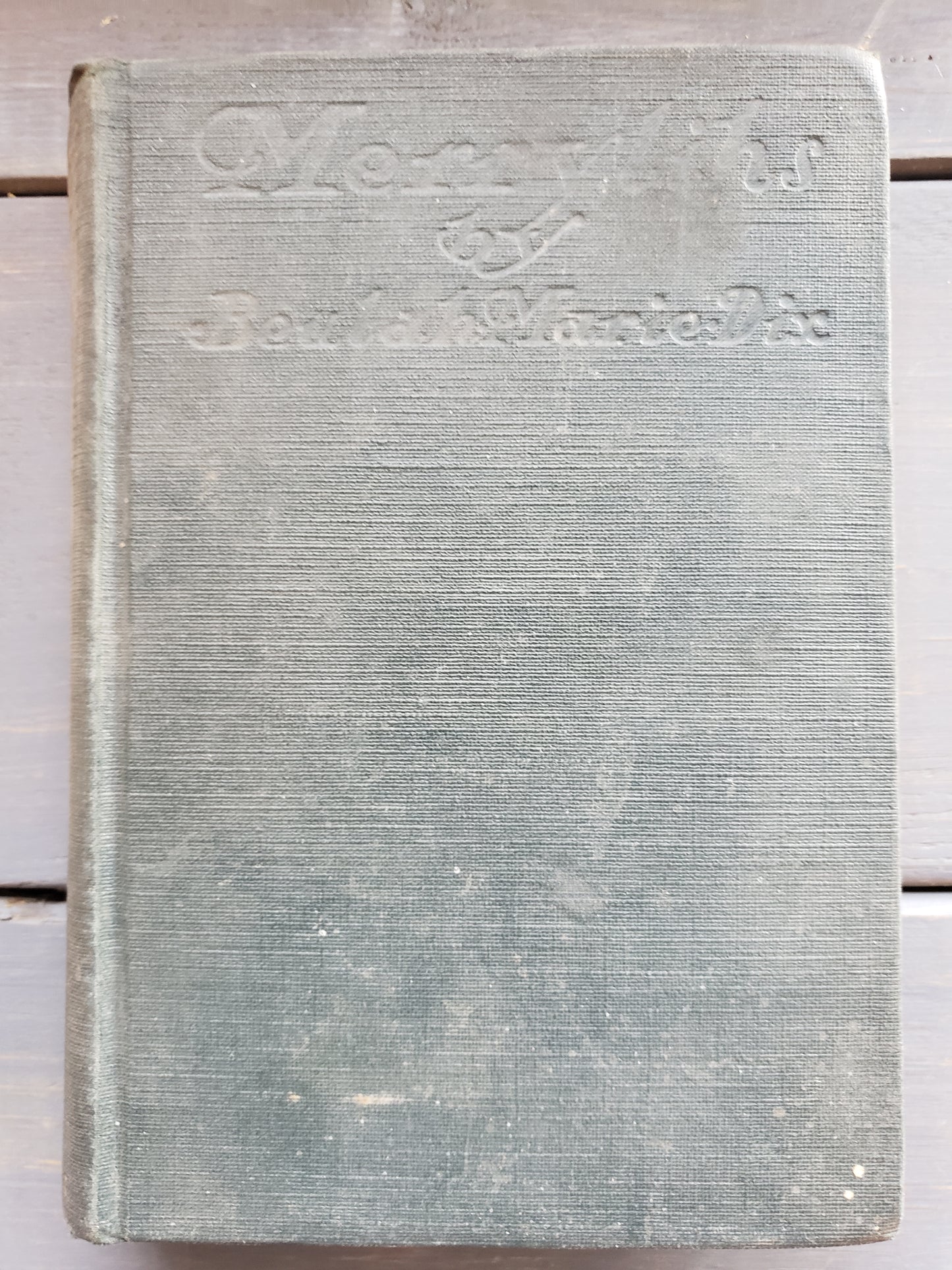 Merrylips (1926) by Beulah Marie Dix