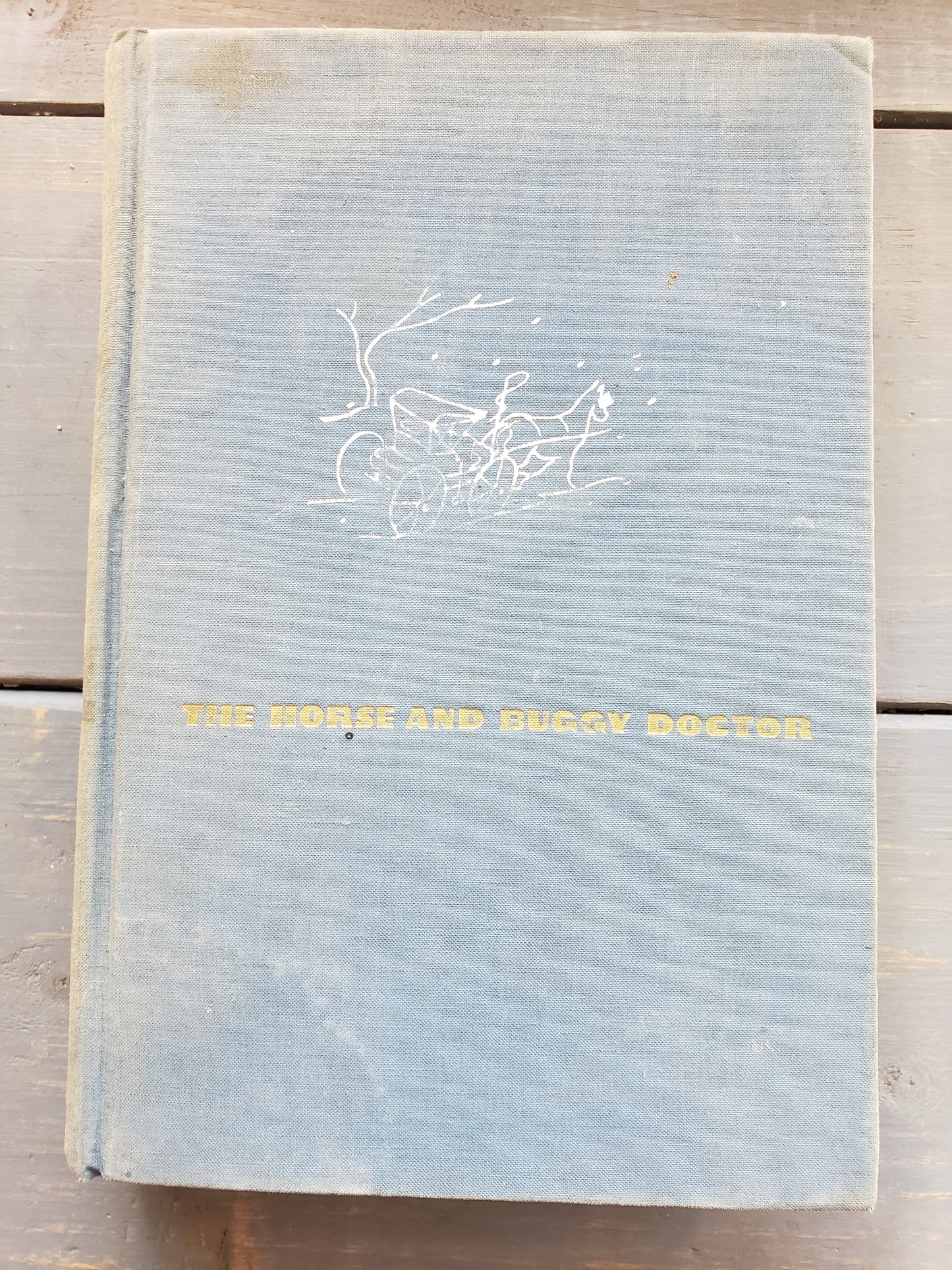 The Horse and Buggy Doctor (1938) by Arthur E. Hertzler MD