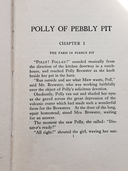 Polly of Pebbly Pit (1922) by Lillian Elizabeth Roy
