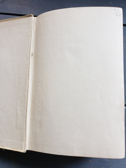 Ishmael by Mrs. Emma Southworth (early 1900s)