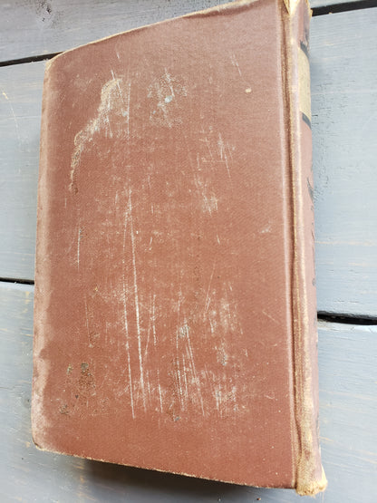The Frozen Pirate by W. Clark Russell (1887)