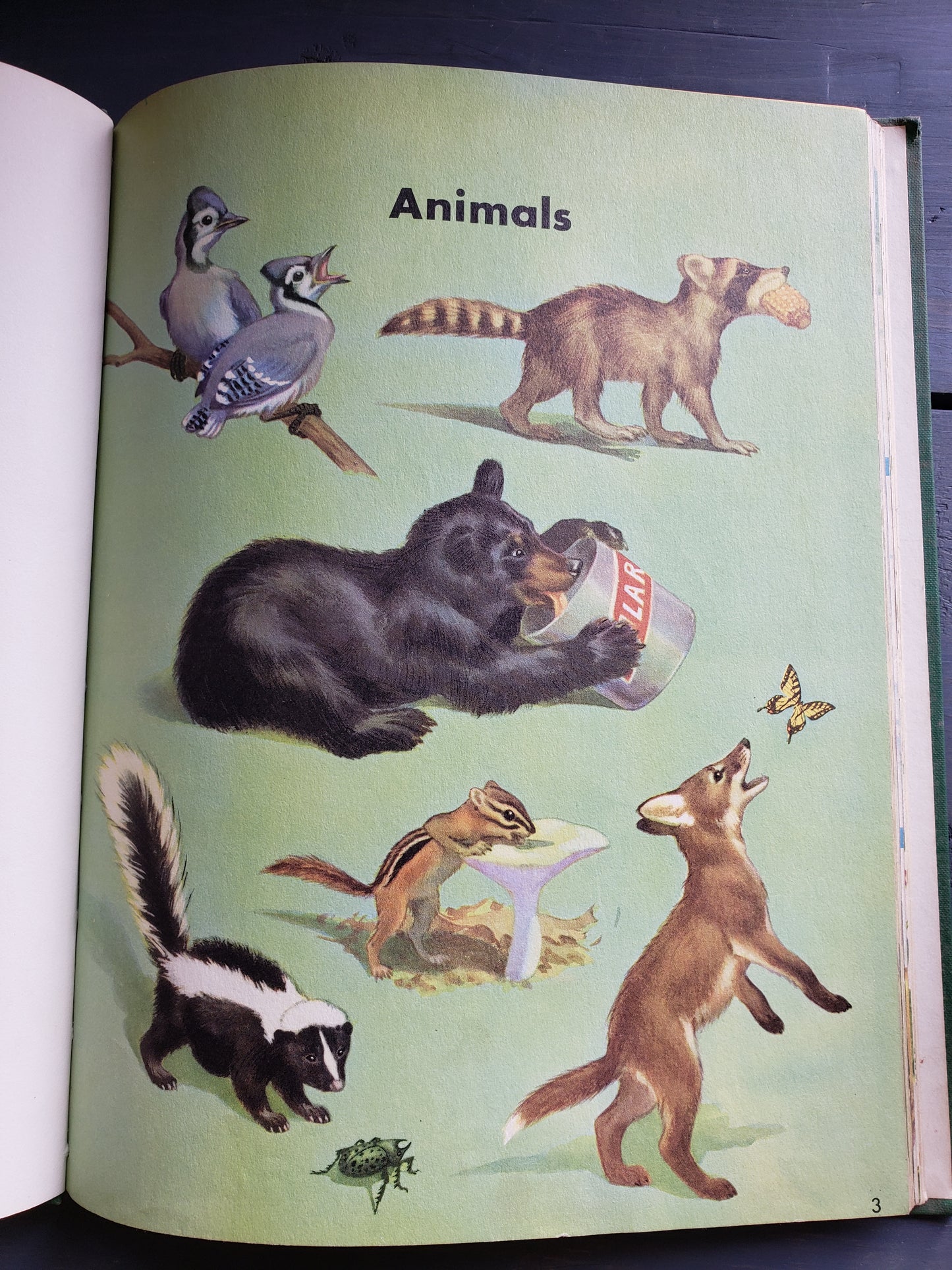 All Around Us, by Scott Foresman and Company (1951)