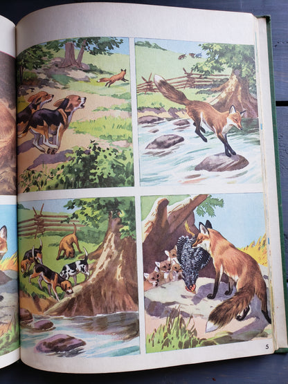 All Around Us, by Scott Foresman and Company (1951)