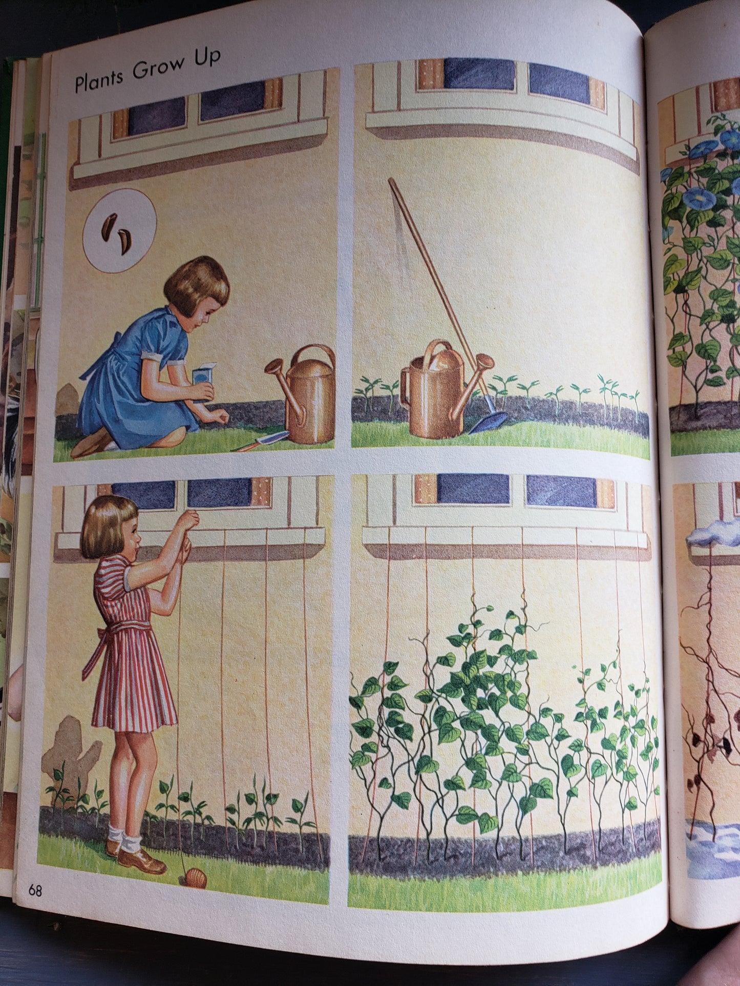 All Around Us, by Scott Foresman and Company (1951)