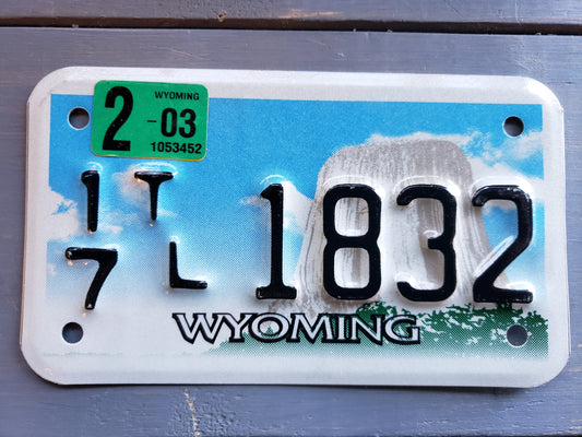 Wyoming Trailer License Plate with Devil's Tower 17 1832