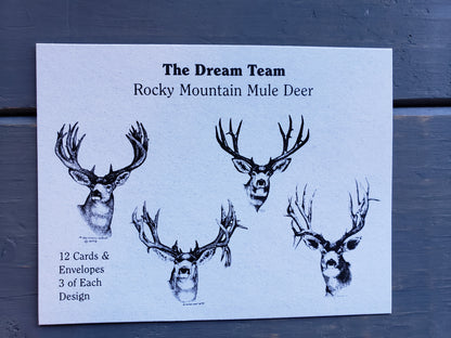 The Dream Team note card set (12 cards & envelopes)