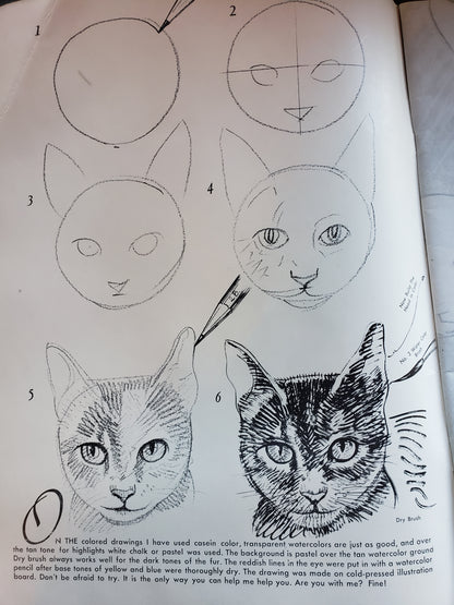 How to Draw Cats by Walter Foster