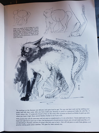 How to Draw Cats by Walter Foster
