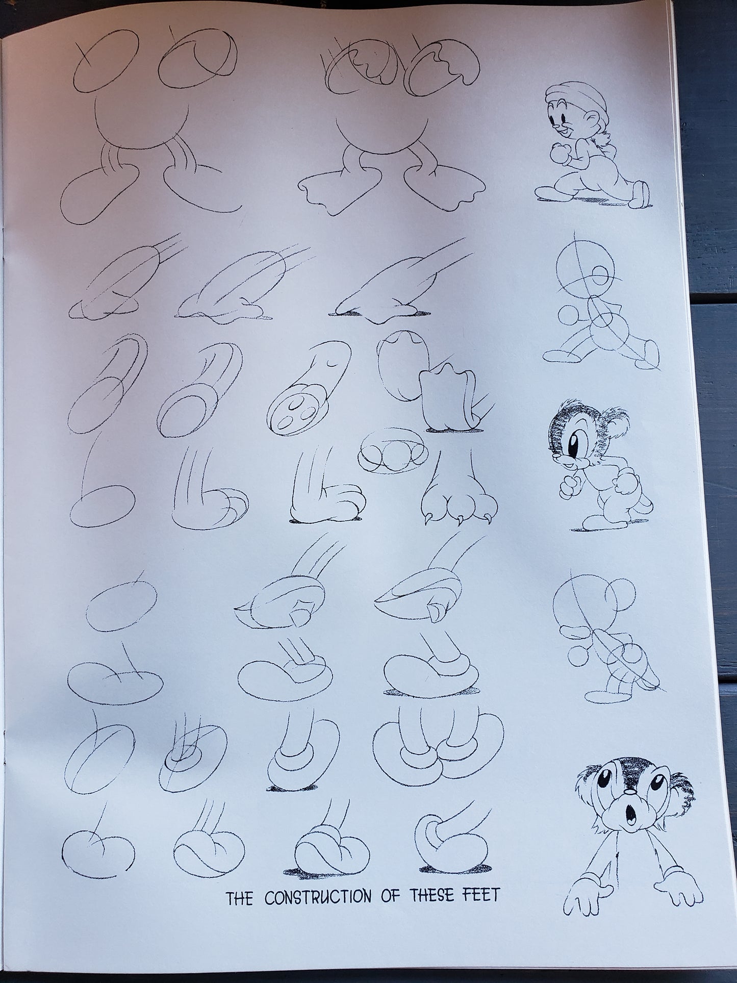 Animated Cartoons for the Beginner by Walter T. Foster