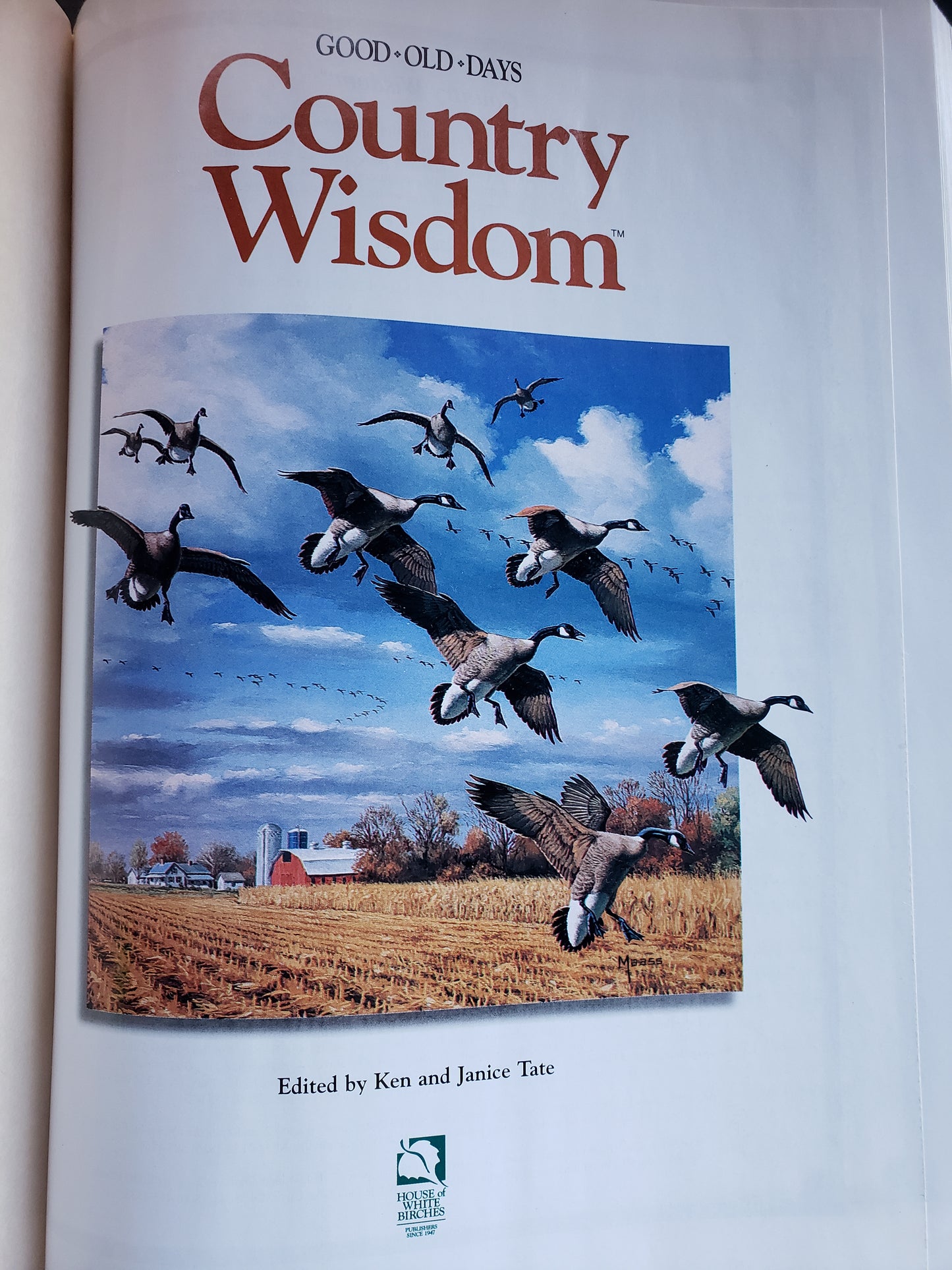 Country Wisdom (Good*Old*Days) 2001