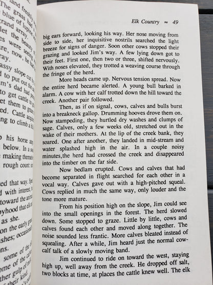 Young Rider on the Twisting Trail by Edward McGough