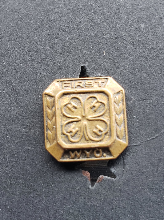 Wyoming 4 H Pin