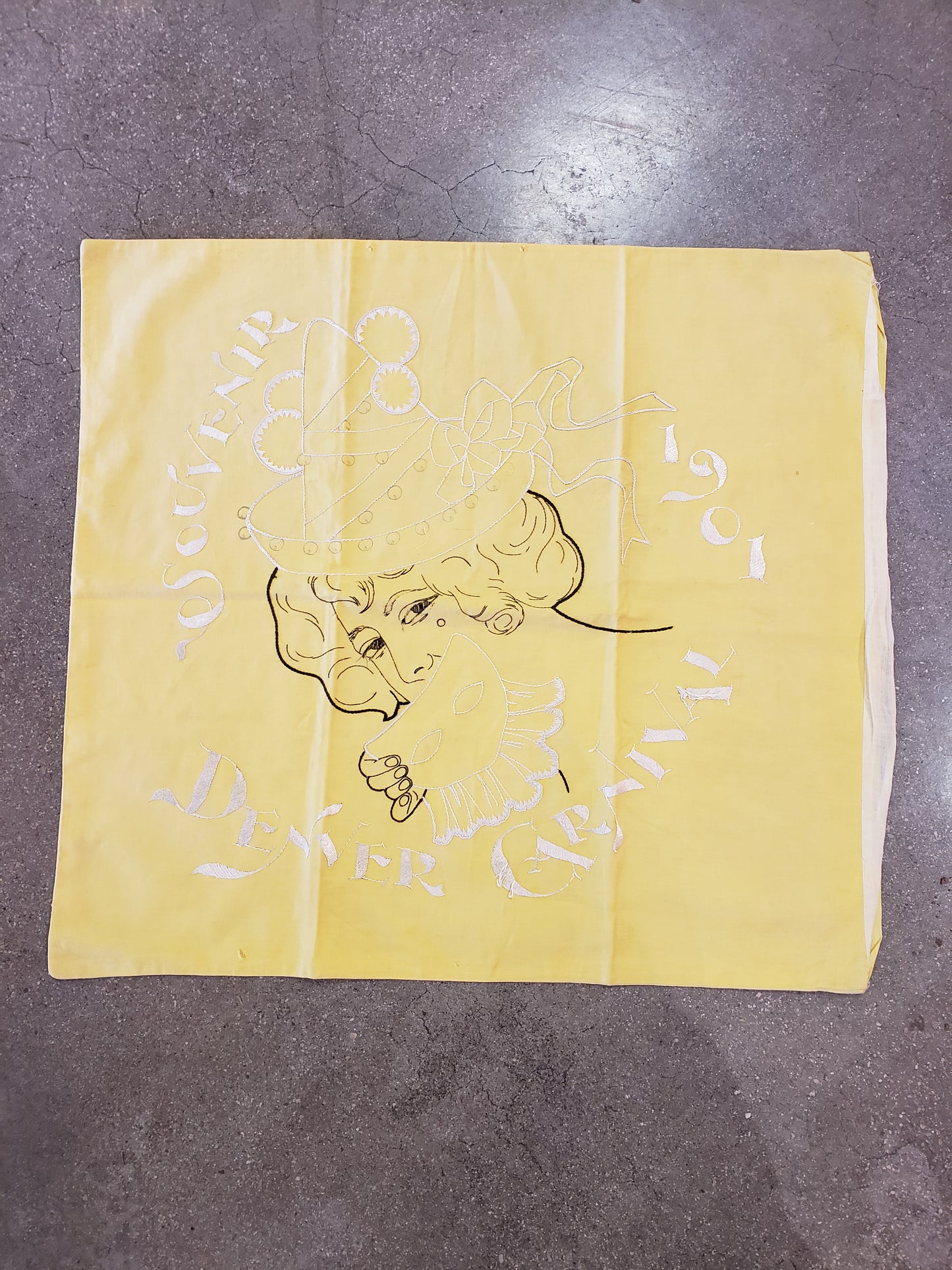 Denver Carnival Souvenir 1901 pillow cover